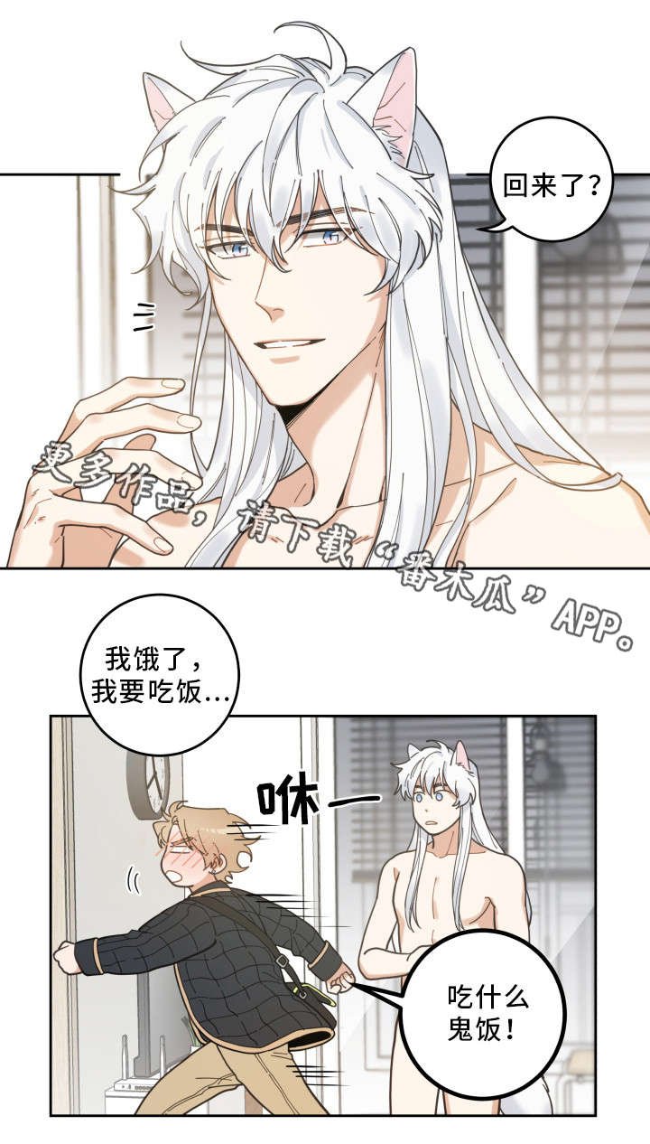 第7章：衣服
