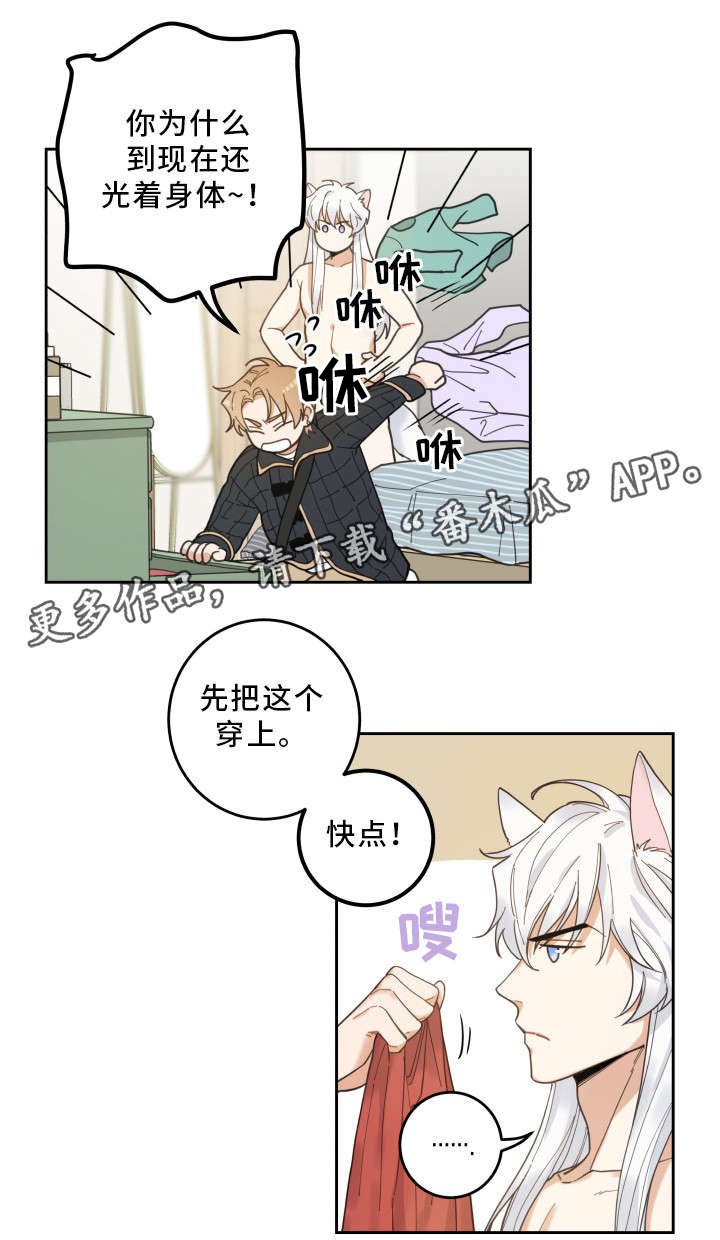 第7章：衣服
