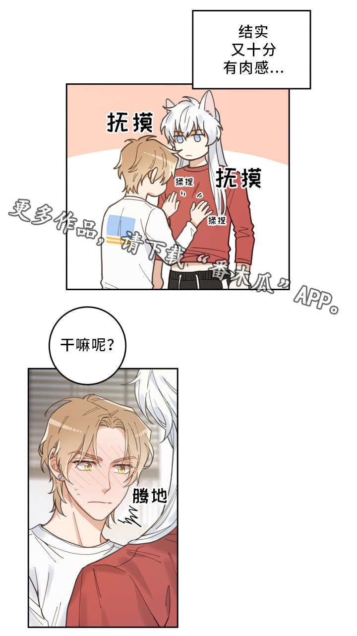 第7章：衣服