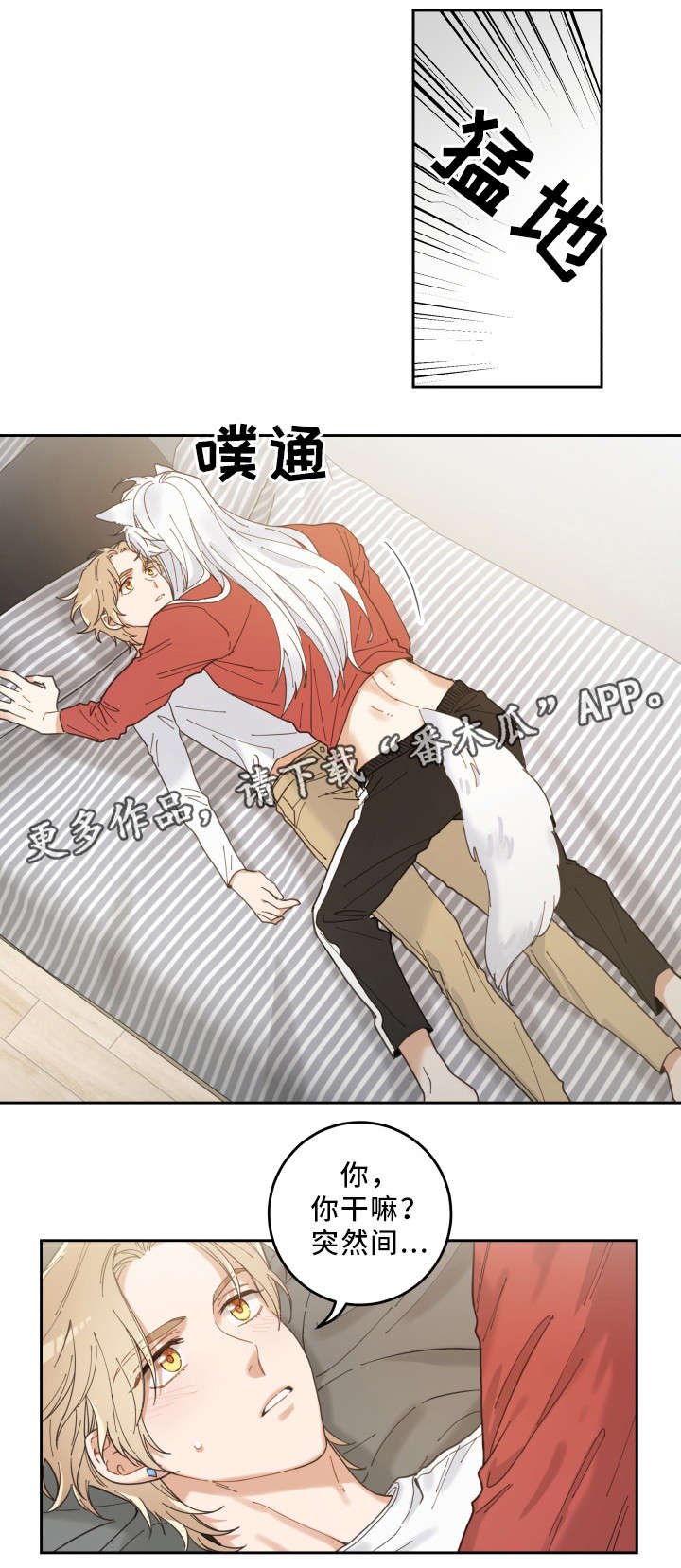 第7章：衣服