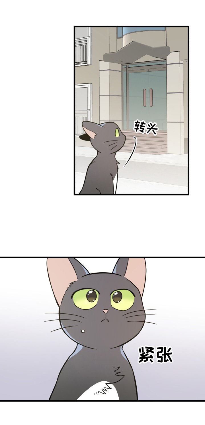 第70章：安慰