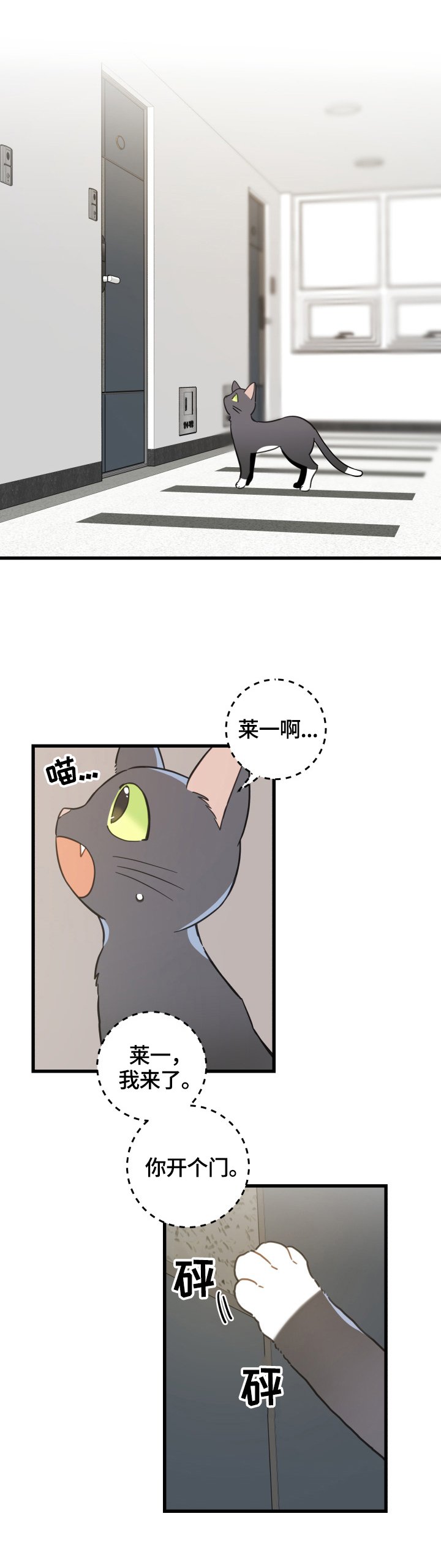 第70章：安慰