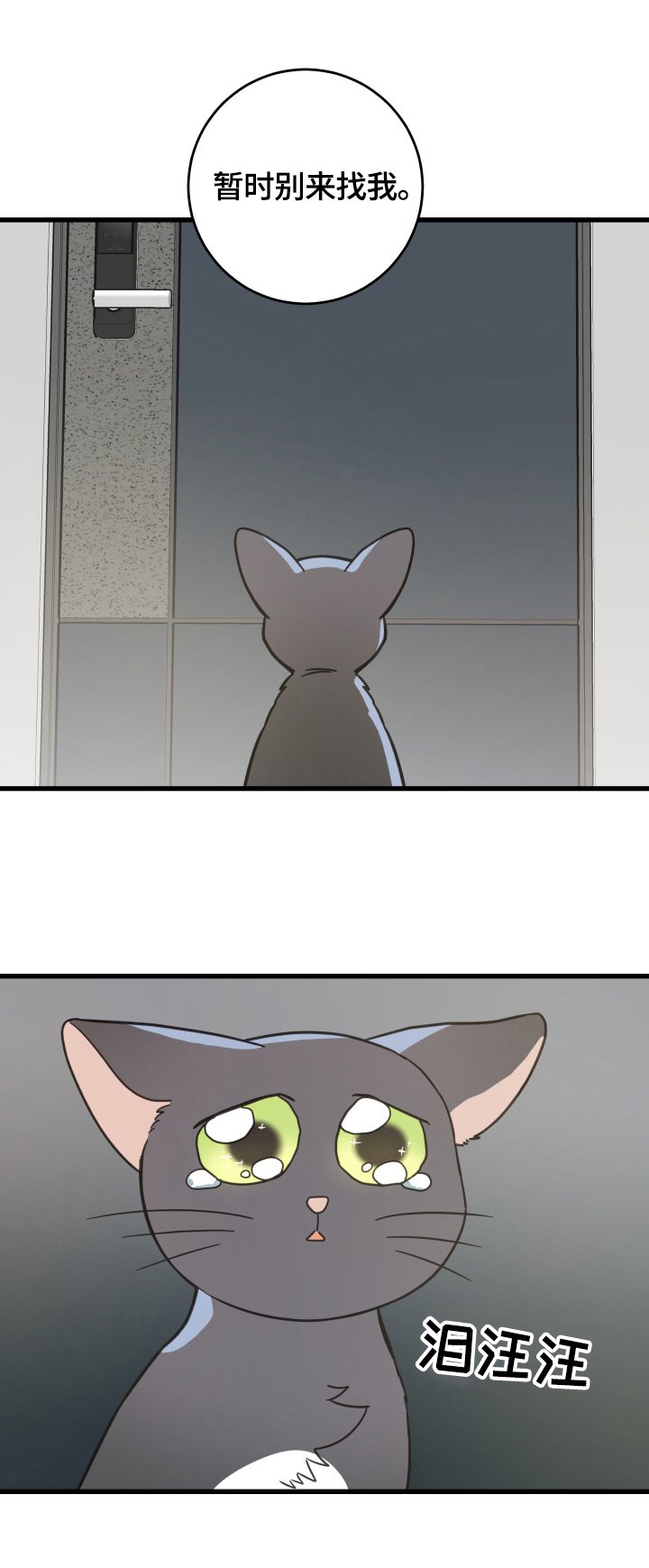 第70章：安慰