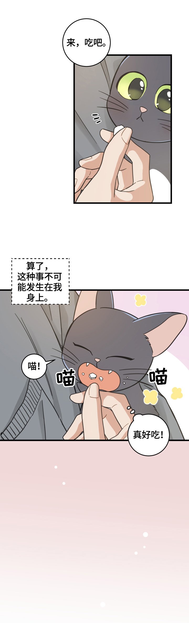 第70章：安慰