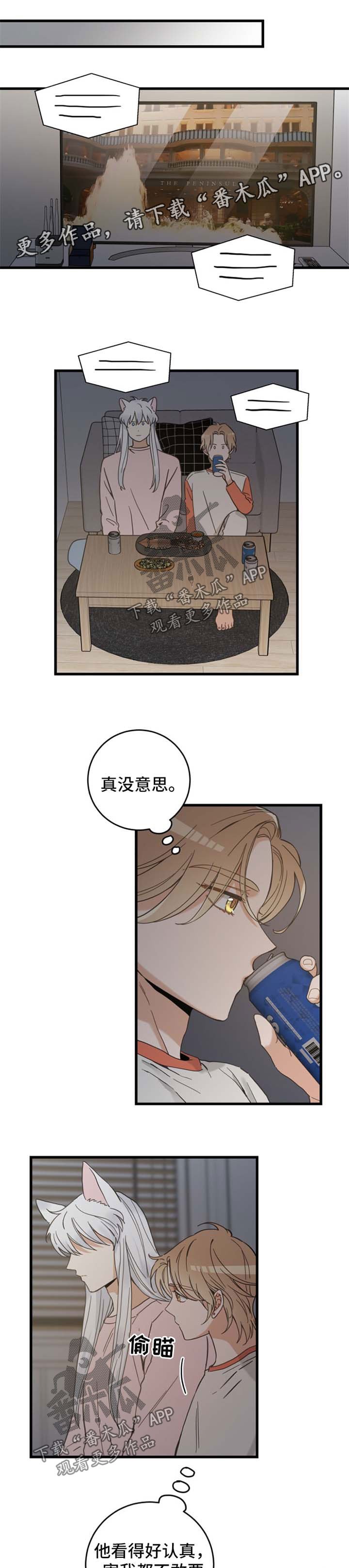 第74章：我们聊聊
