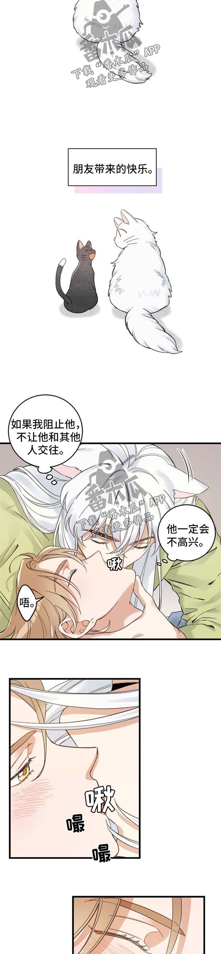 第76章：朋友