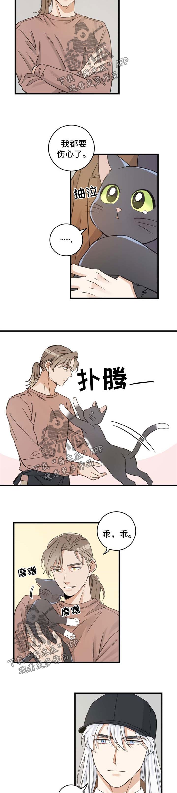 第77章：串门