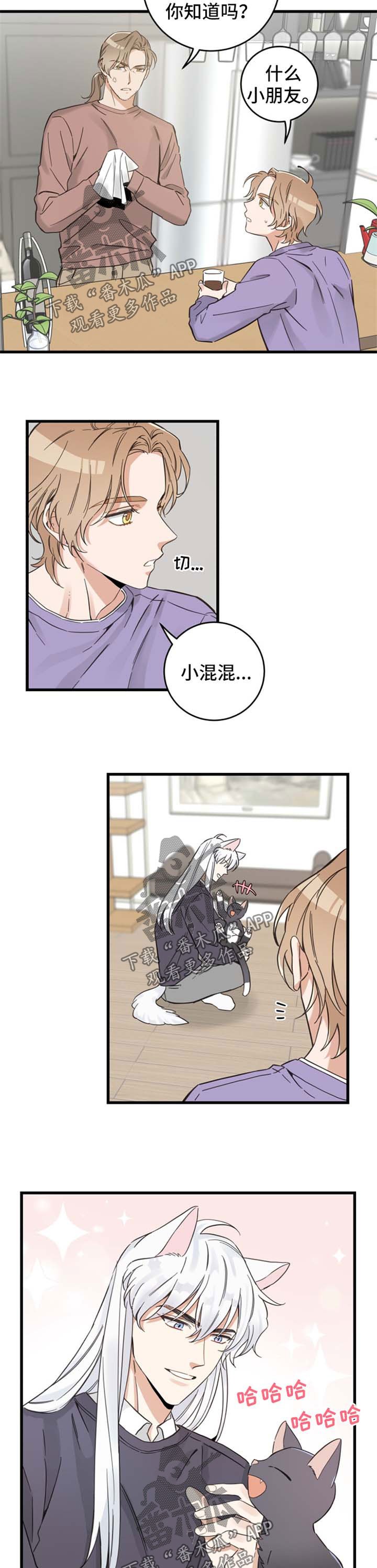 第78章：宠物心得