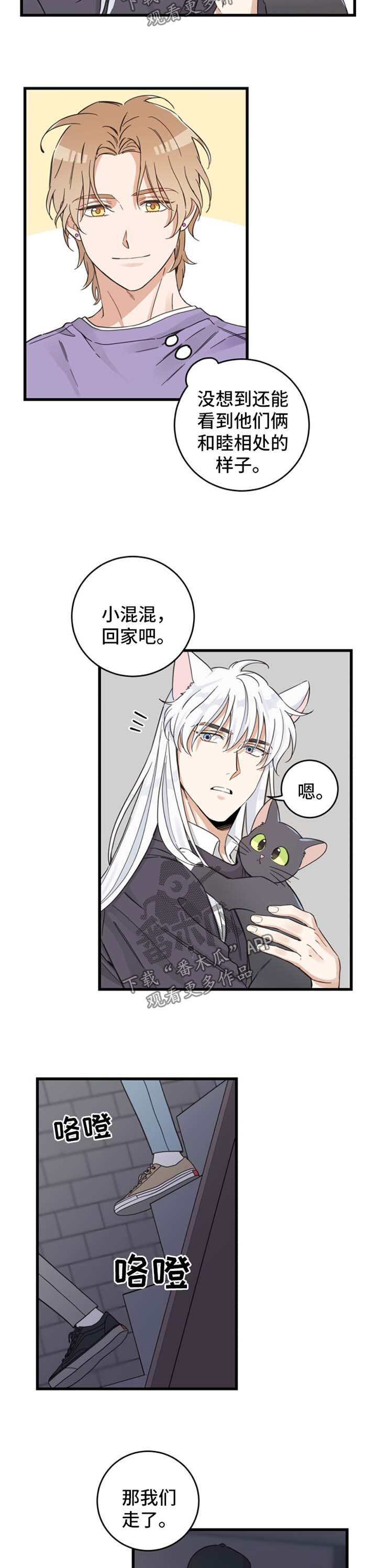 第78章：宠物心得