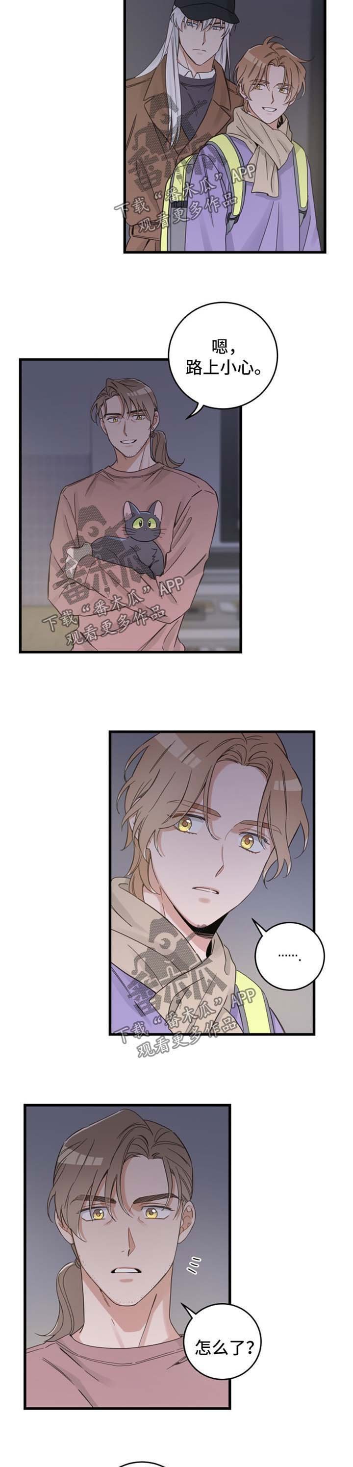 第78章：宠物心得