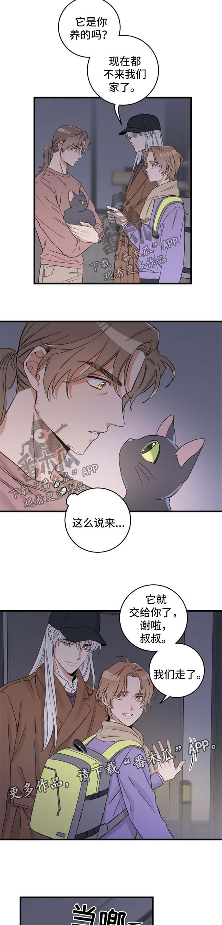 第78章：宠物心得
