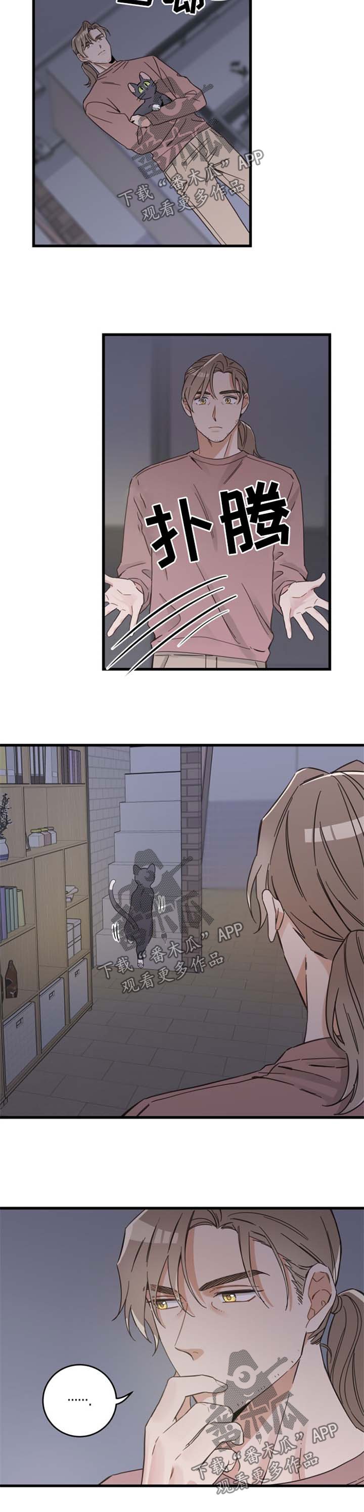 第78章：宠物心得