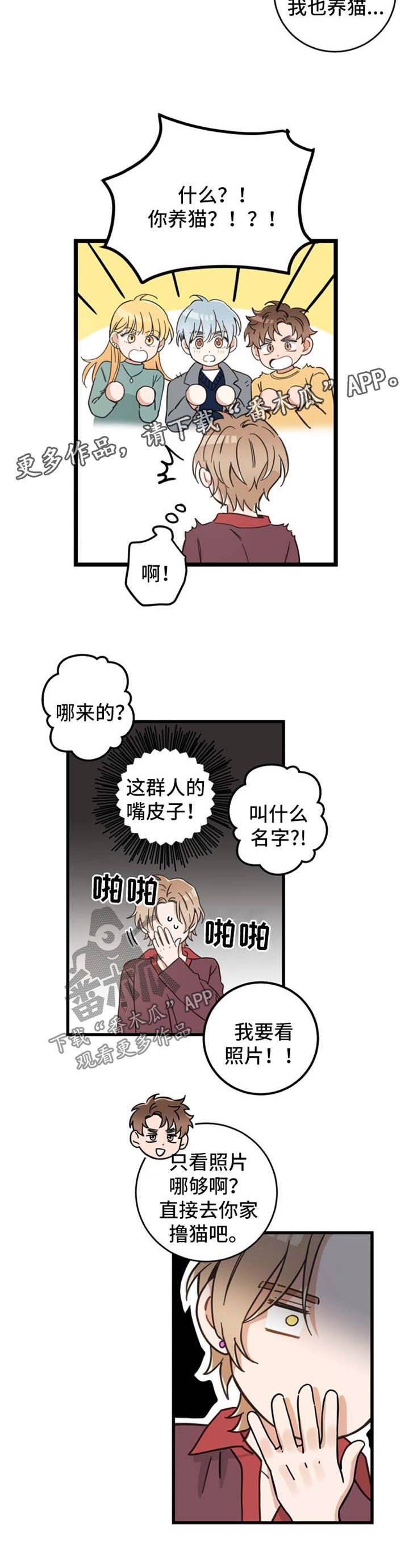 第78章：宠物心得