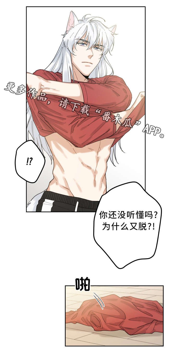 第8章：又变回去了