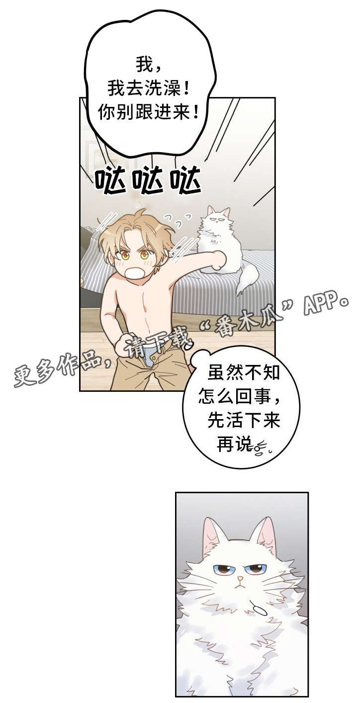 第8章：又变回去了