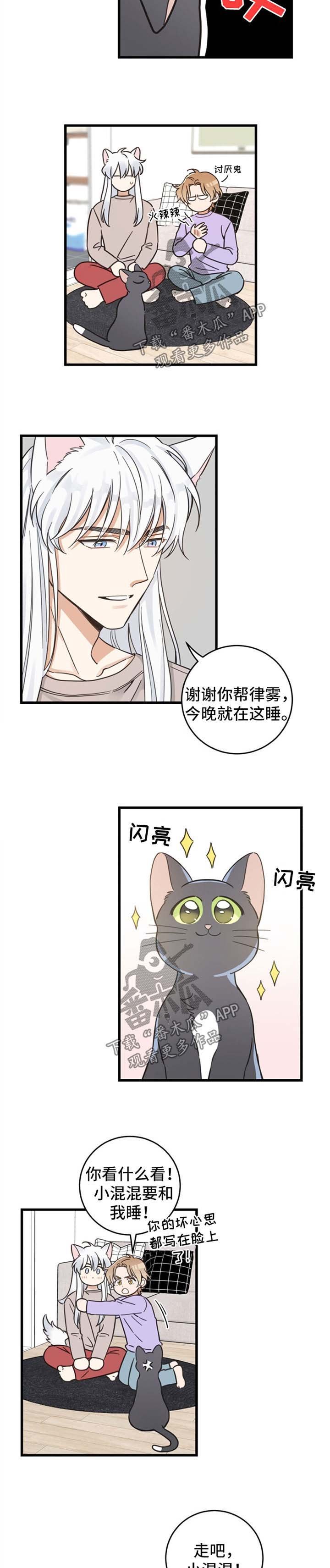 第80章：想要回家