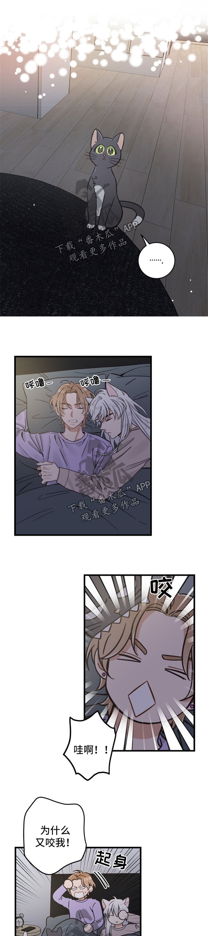 第80章：想要回家