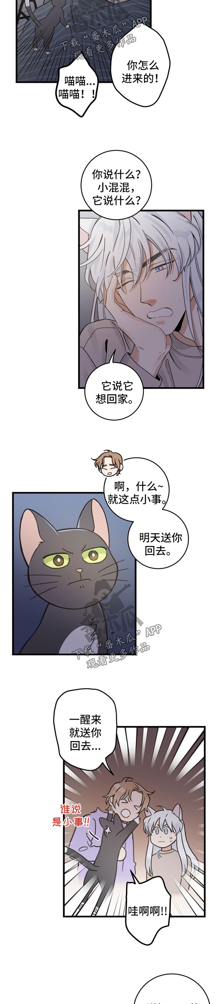 第80章：想要回家
