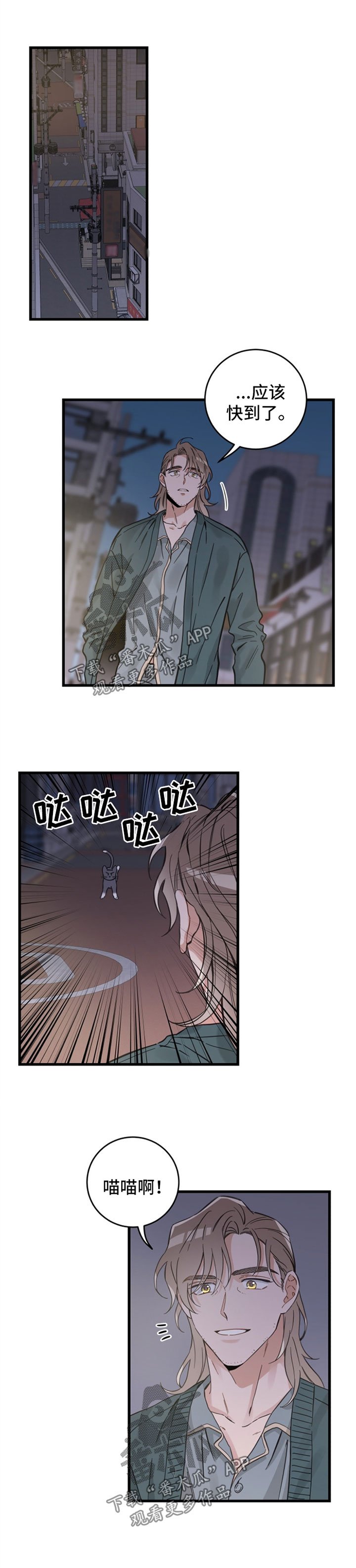 第81章：星星