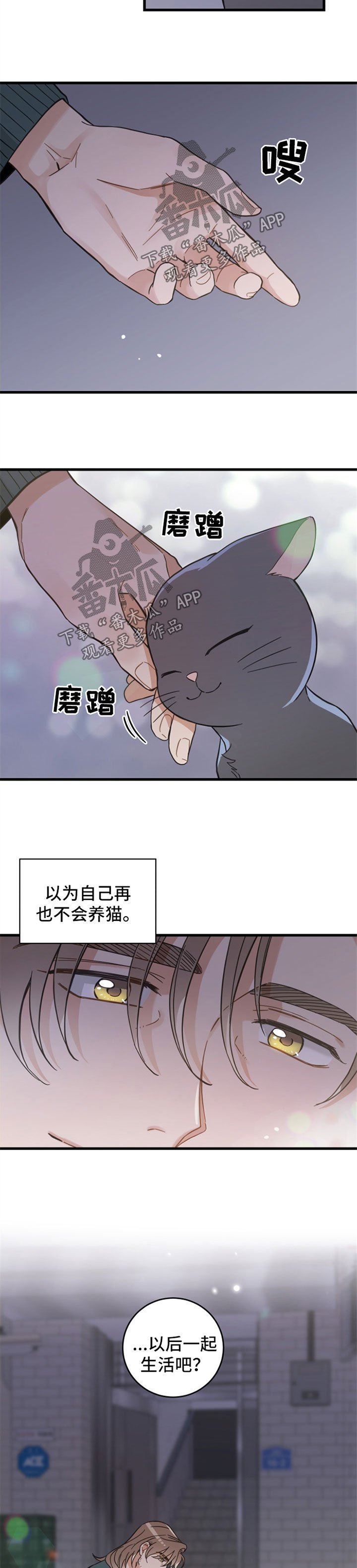 第81章：星星