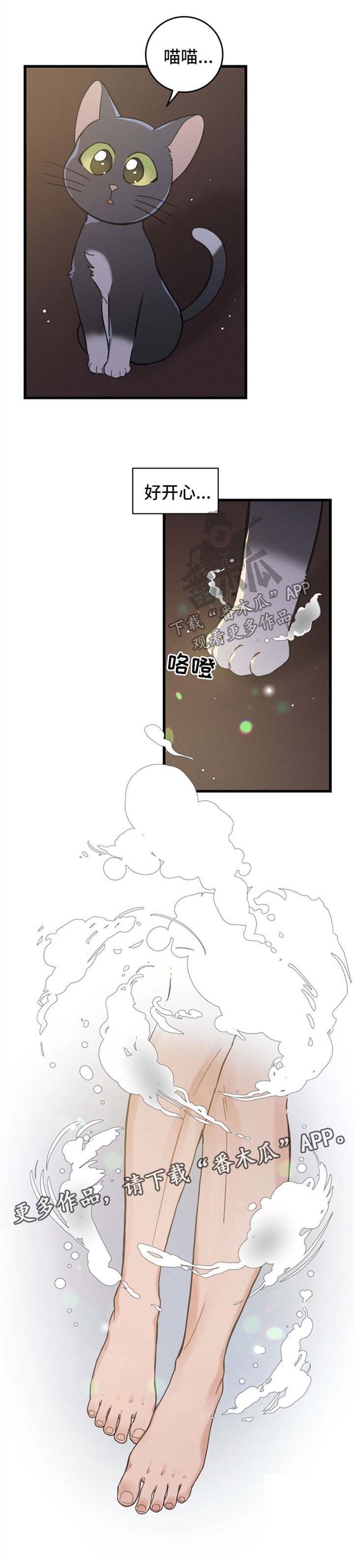 第81章：星星