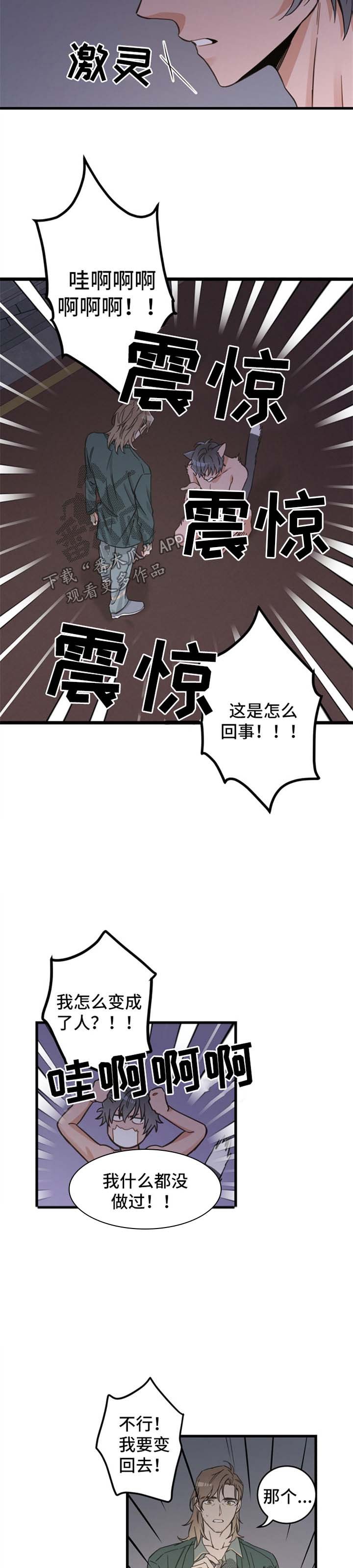 第82章：变人