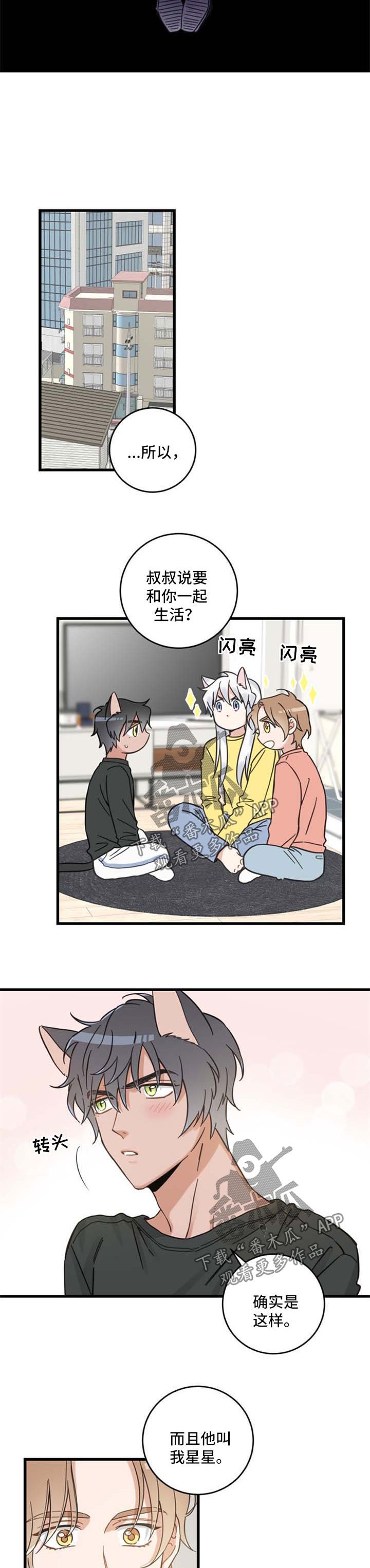 第84章：不同的喜欢