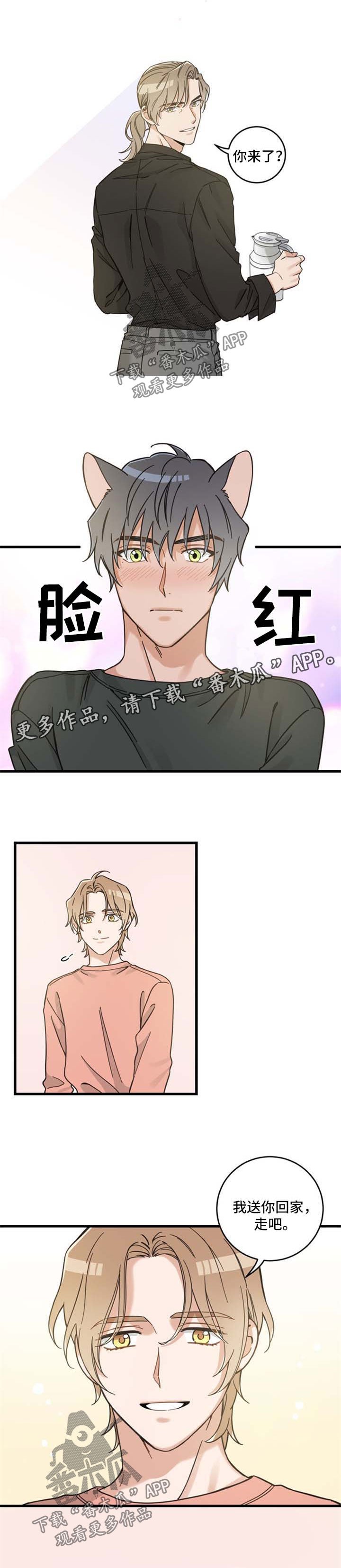 第84章：不同的喜欢