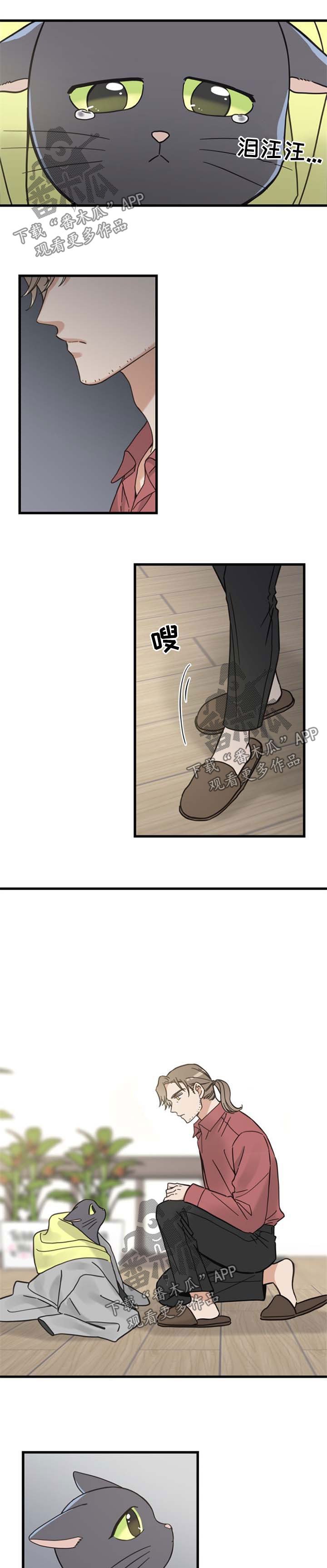 第85章：不放弃