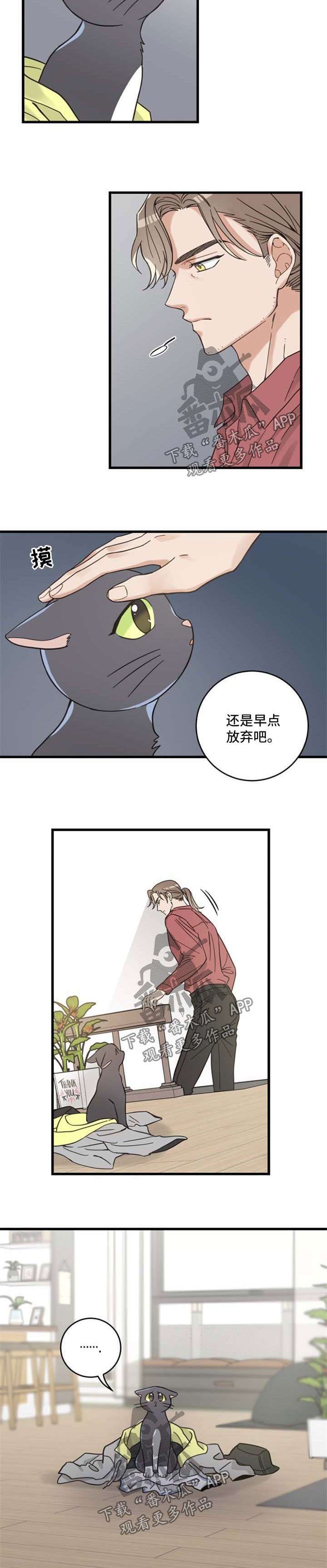 第85章：不放弃