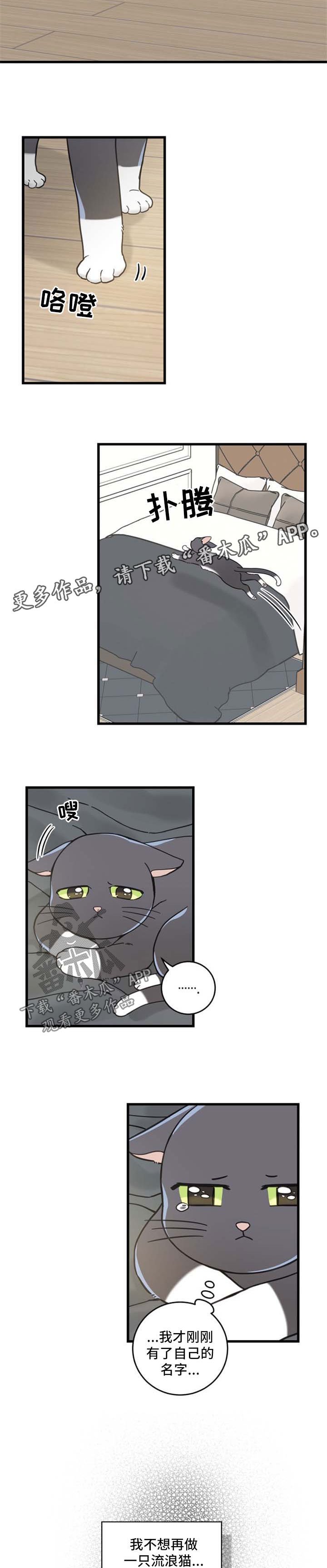 第85章：不放弃