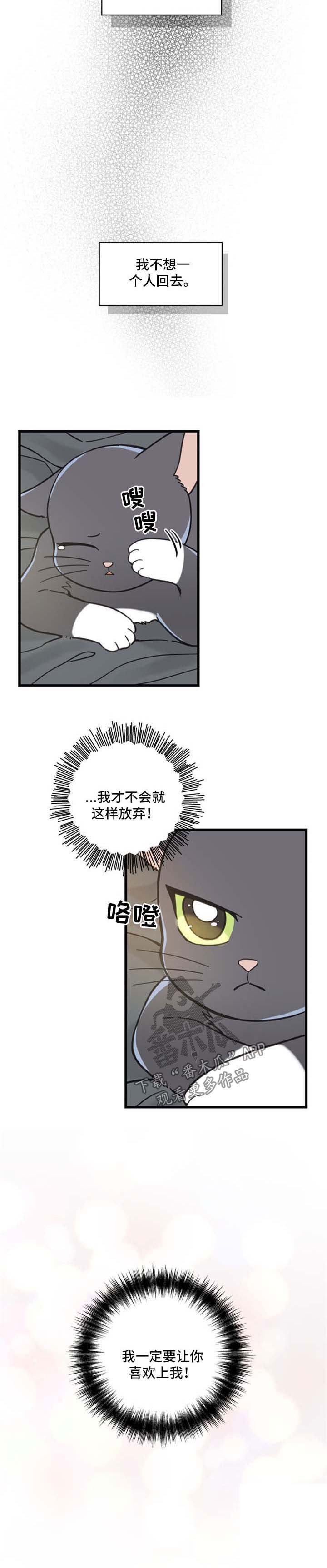 第85章：不放弃