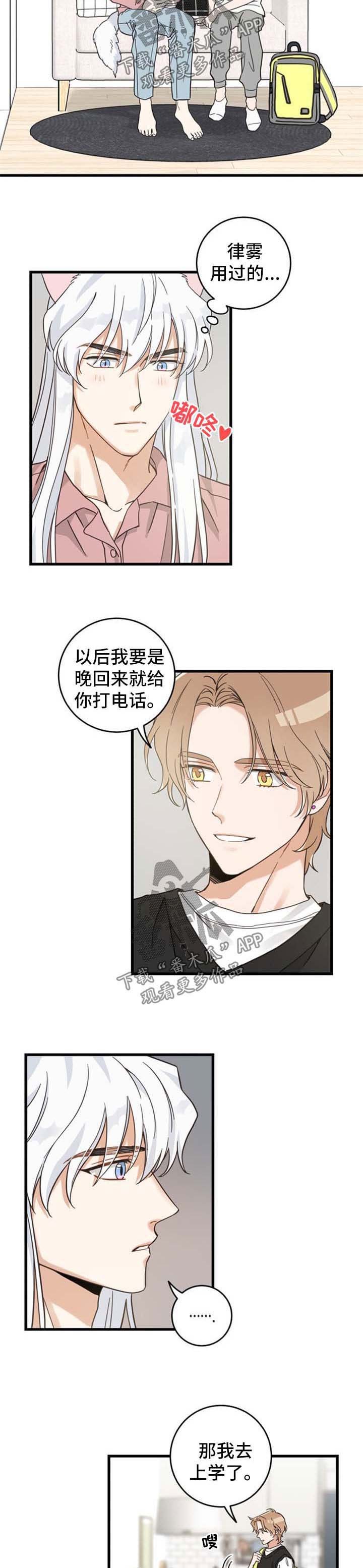 第87章：像梦一样