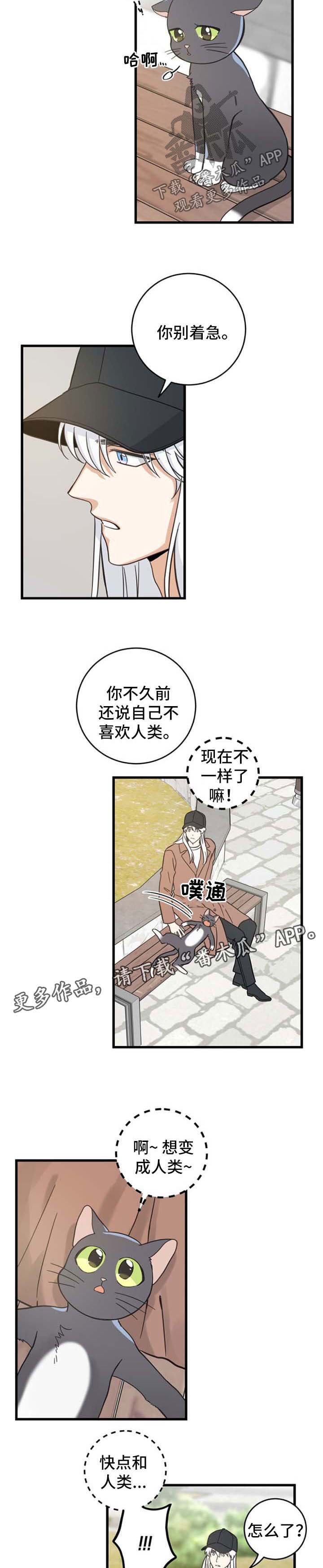 第88章：偶遇