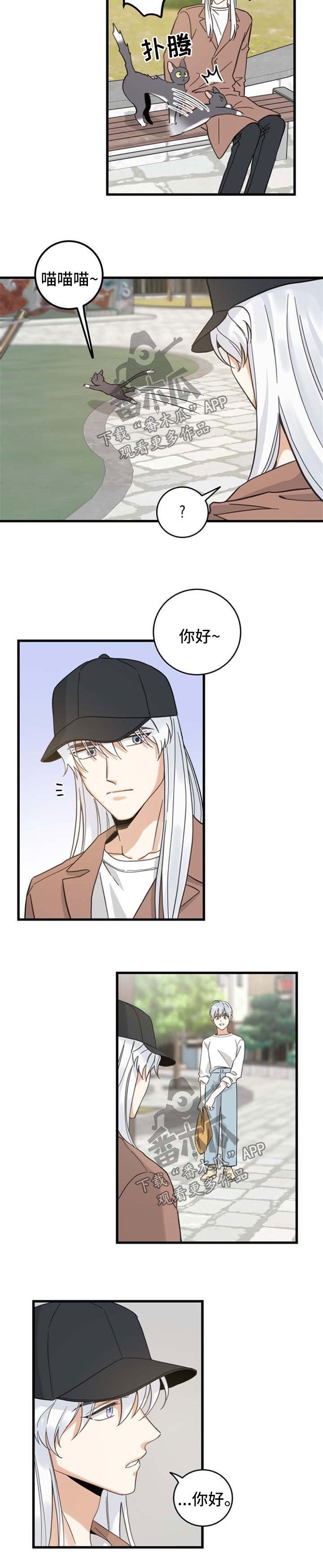 第88章：偶遇