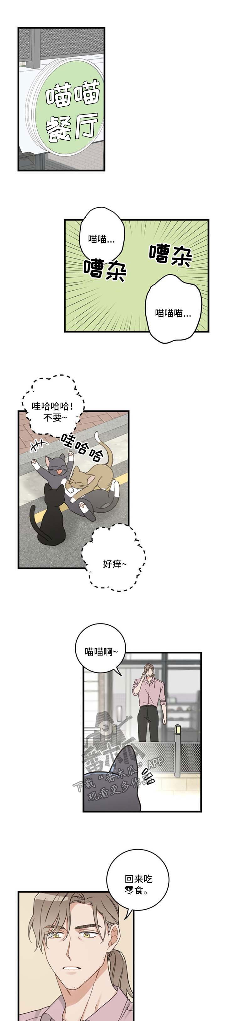 第91章：忧愁