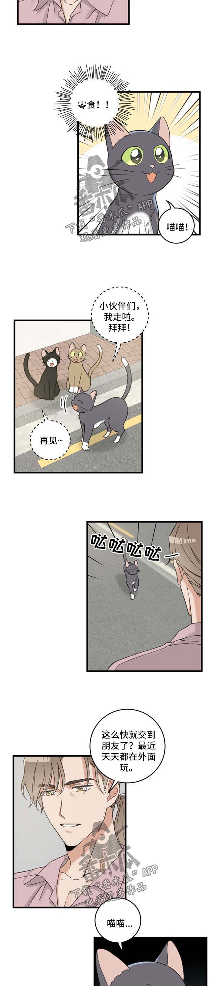 第91章：忧愁