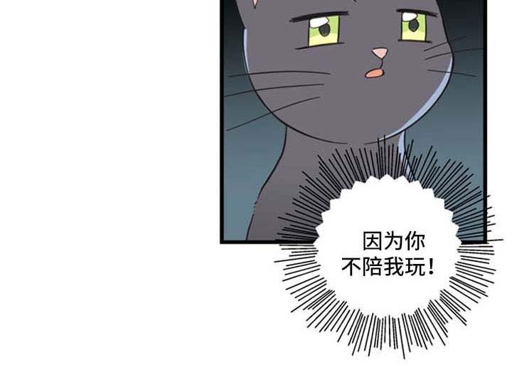 第91章：忧愁