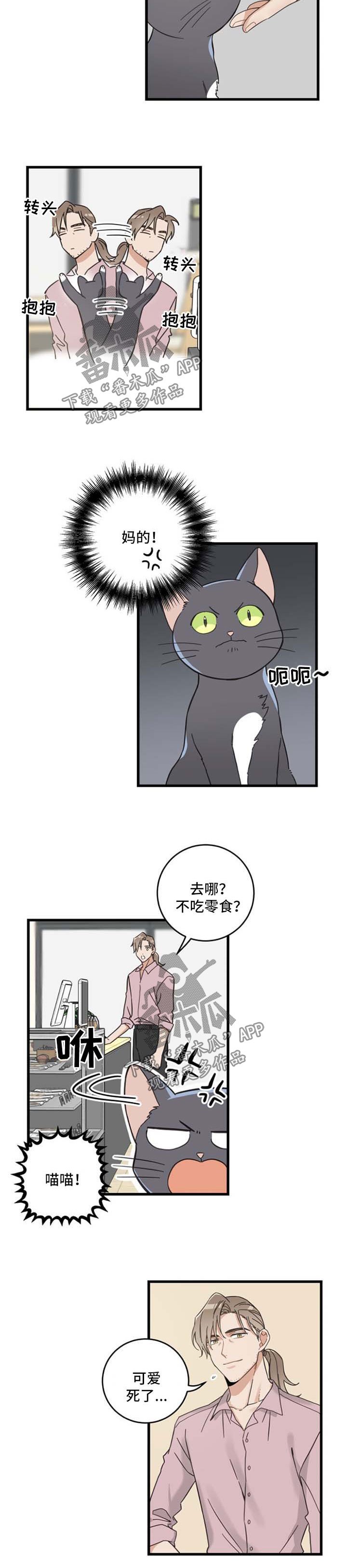 第92章：不行