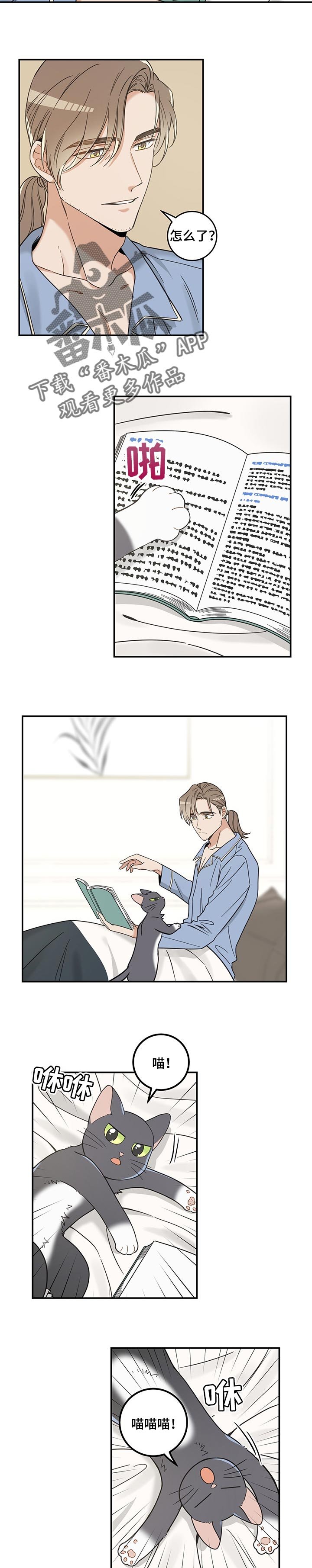 第98章：捣乱