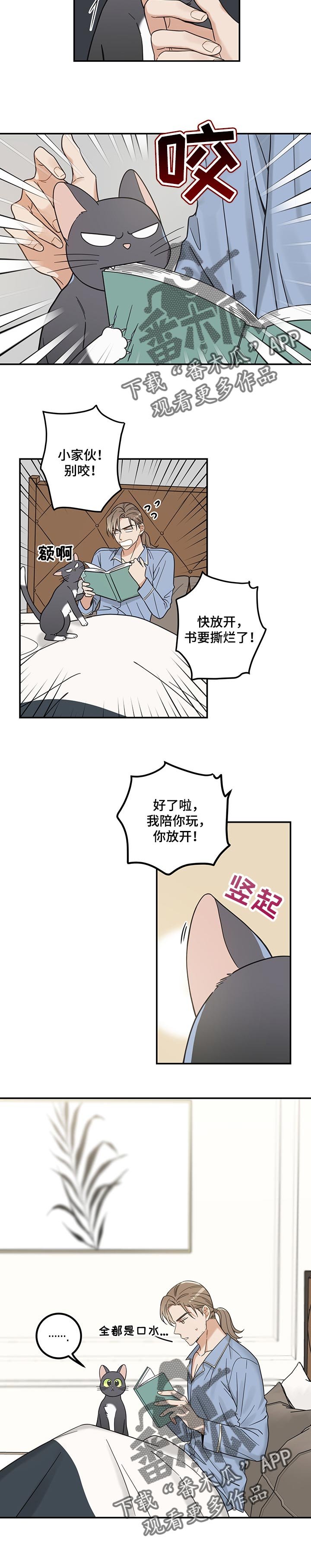 第98章：捣乱