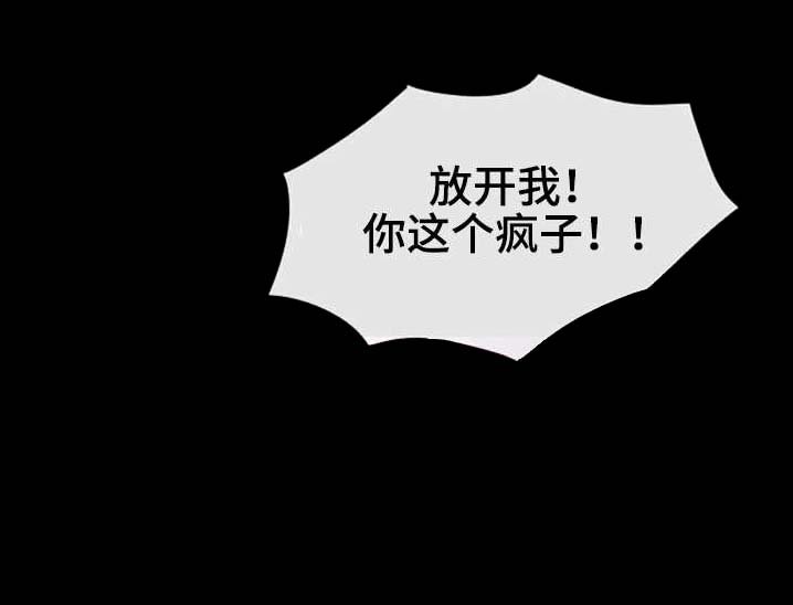 第45章：衣冠禽兽