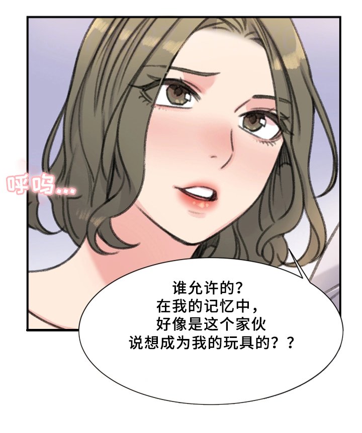 第33章：秘密与玩具