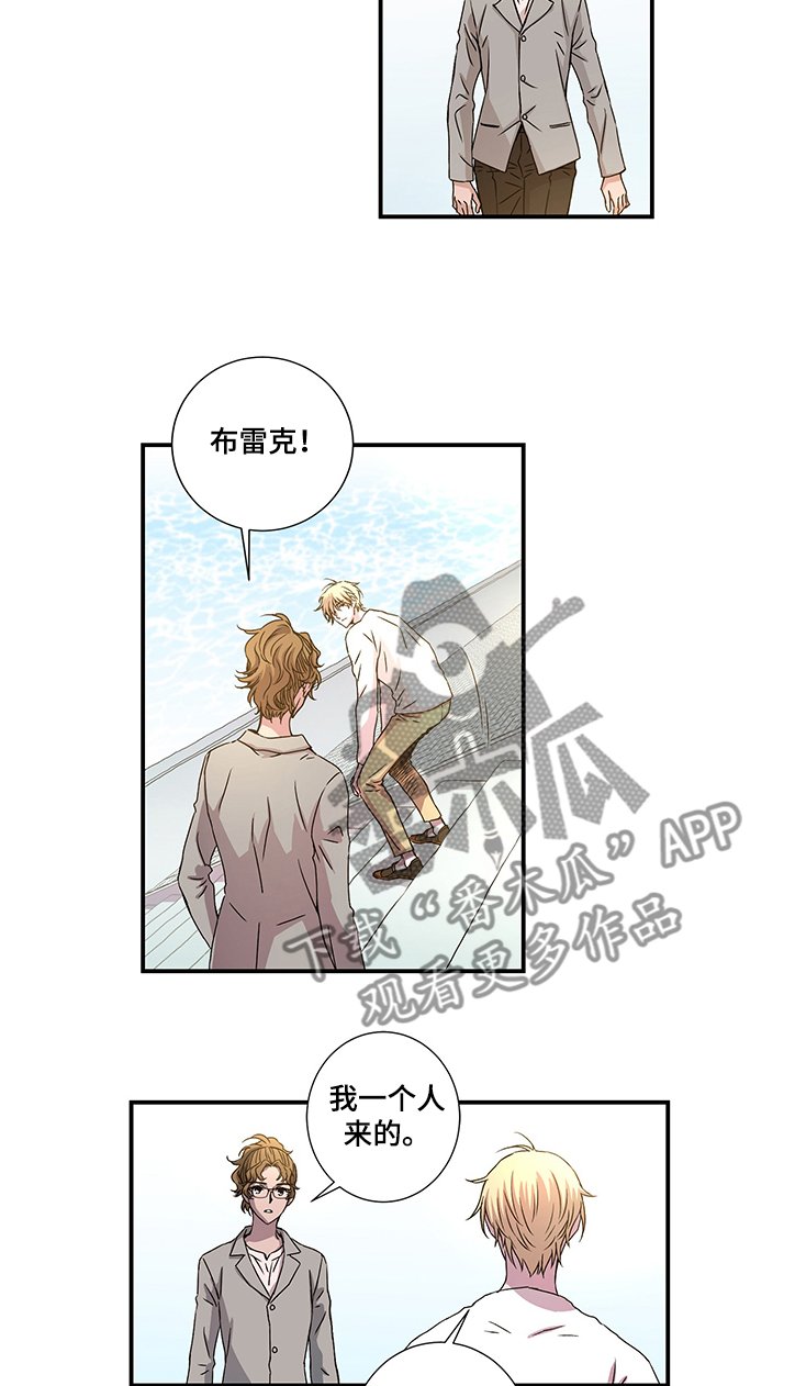 第28章：芯片