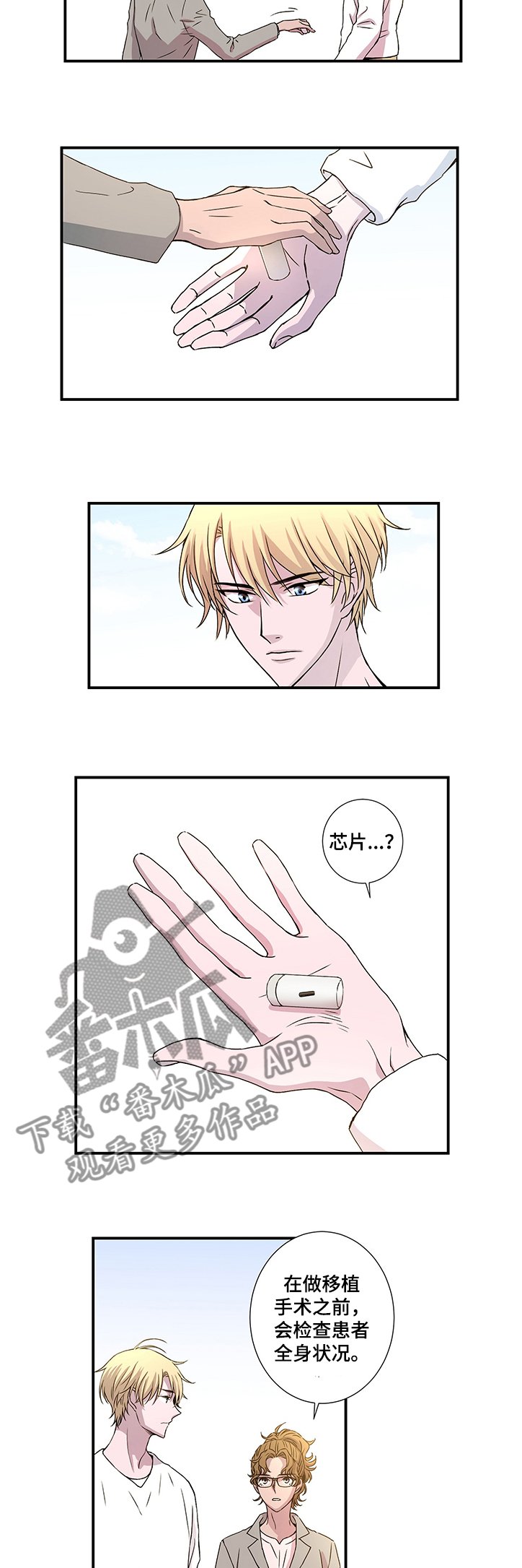 第28章：芯片