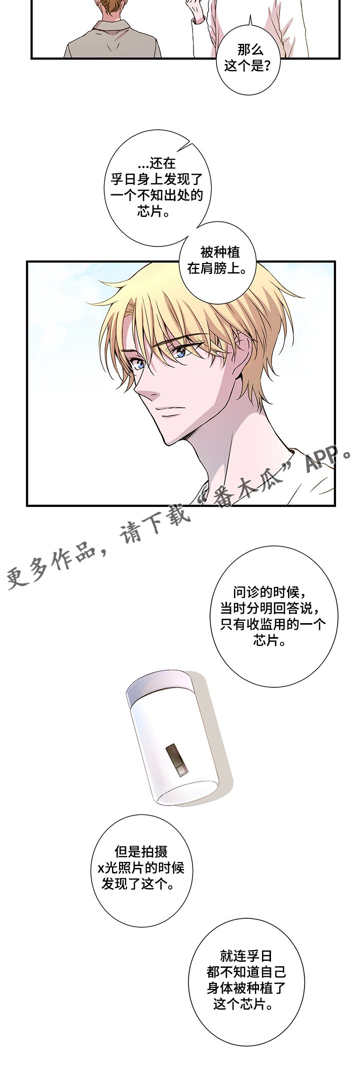 第28章：芯片