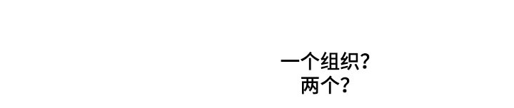 第33章：不只一个
