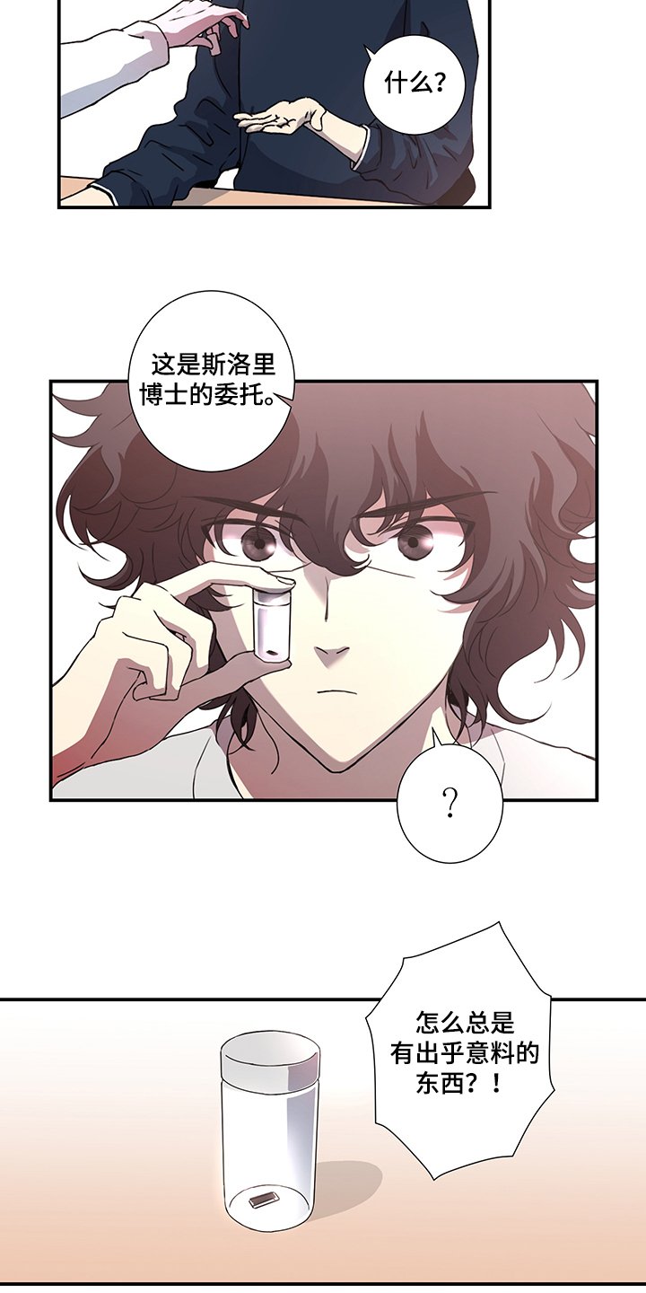 第40章：保镖就位