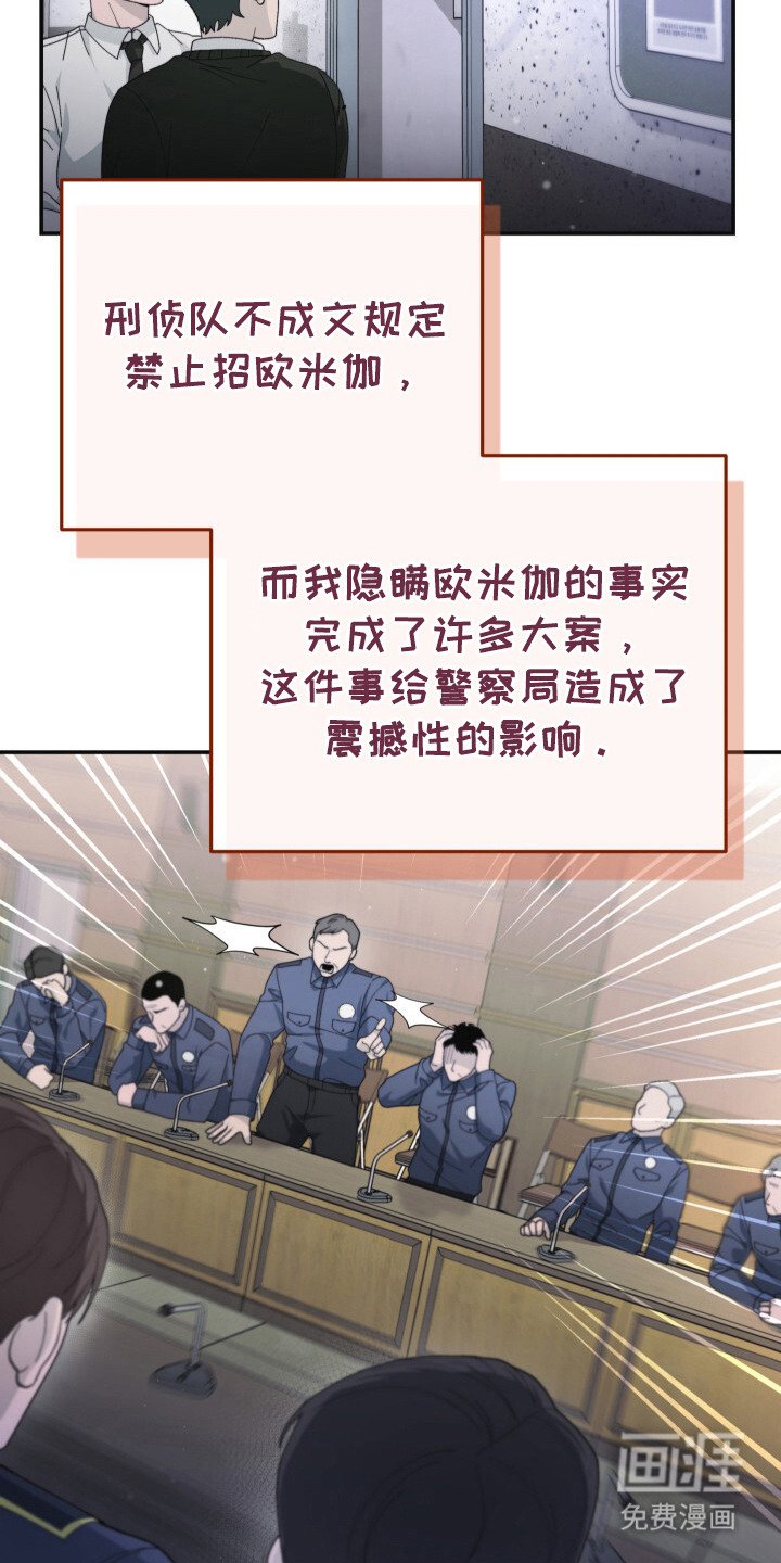 第19章：引起轰动