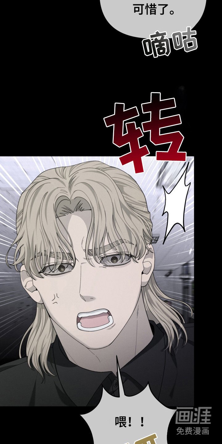 第19章：引起轰动
